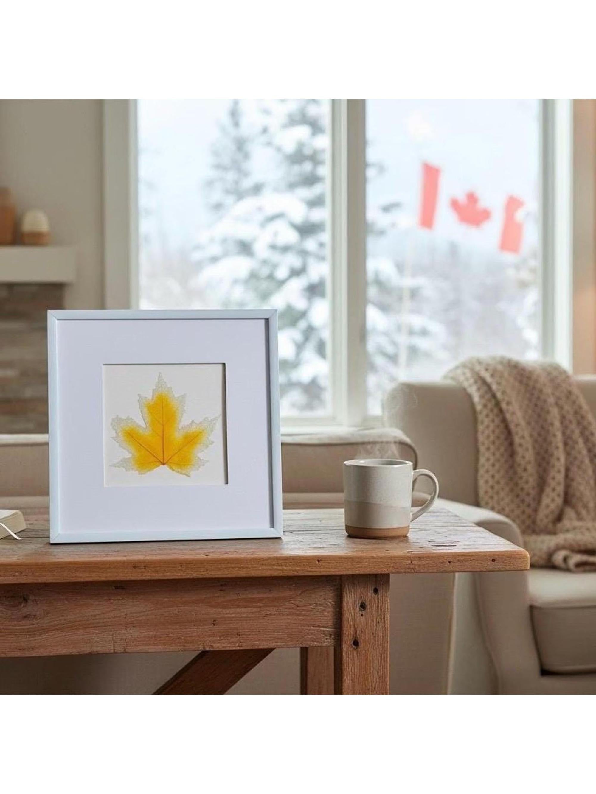 Framed Yellow Glass Maple Leaf Art | Botanical Decor